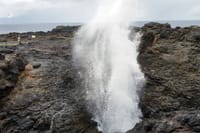 Blowhole gazer