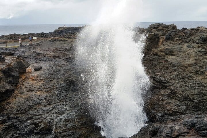 Blowhole gazer
