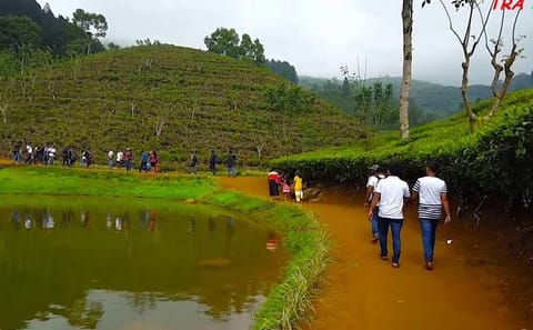 ATV Safari and Nature Tour at Sembuwatta Lake, Sri Lanka