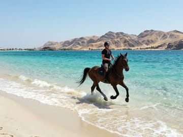 Horseback Riding Adventure in Nabq Bay, Sharm El-Sheikh