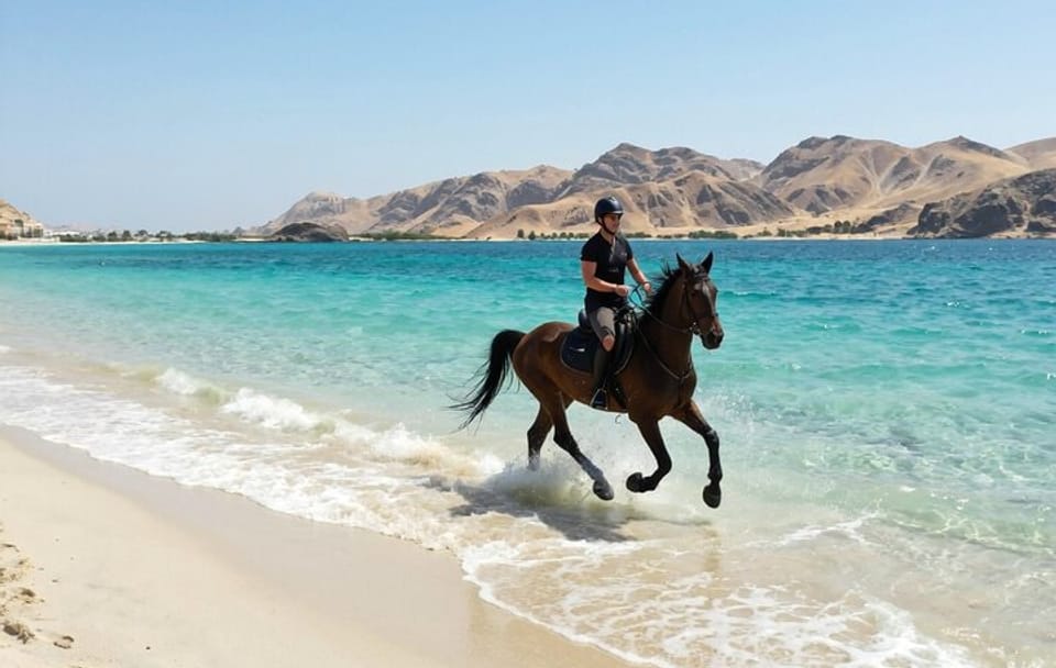 Horseback Riding Adventure in Nabq Bay, Sharm El-Sheikh