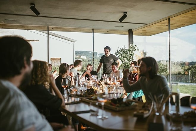 Wine Tasting with Pairing Snacks in Vipava Valley