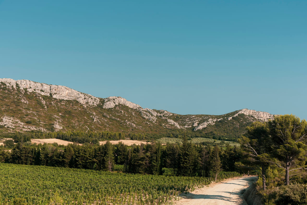Visite du Domaine du Vallon des Glauges et dégustation 2