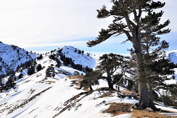 3-Day Snowshoe Trekking Adventure in Avdella, Greece