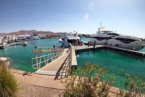 Take advantage of a half-day boat dive experience in Red sea of Aqaba.