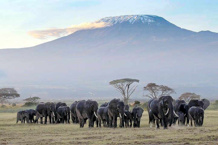 7 Days Taste of Kenya Safari Adventure on a 4x4 Land Cruiser Jeep