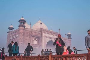 Agra: Half Day Tour of Taj Mahal and Agra Fort with Transfers