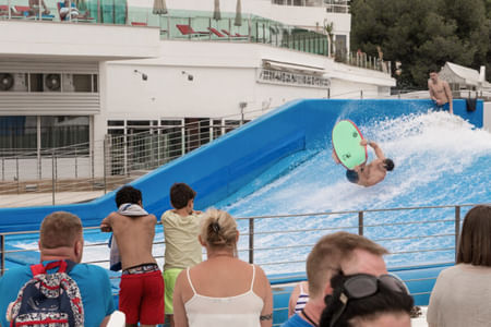 Ride the Wave of Entertainment at Every Turn