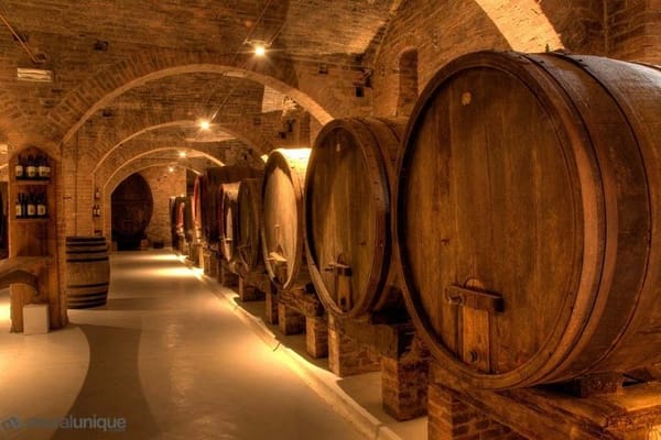 Private Budapest sightseeing tour including Etyek Wine tour with lunch