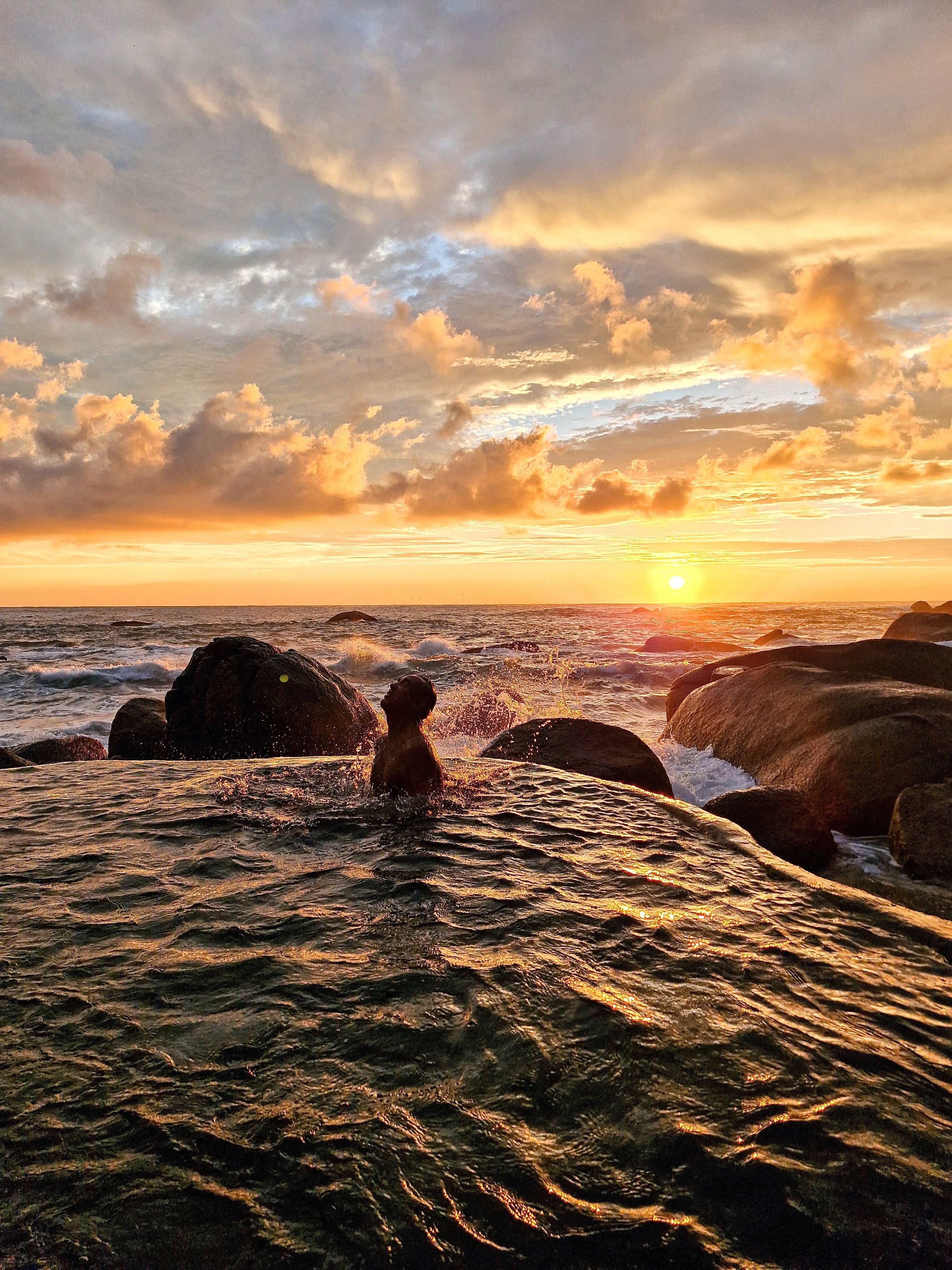 4-Day hike from Paraty: Through Atlantic Forest & Waterfalls