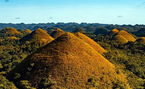Private Full-Day Bohol Countryside Tour from Cebu City