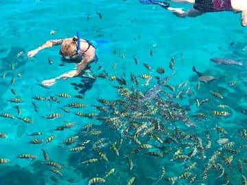 snorkeling adventure