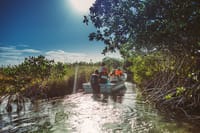 Muyil Archaeological Site & Sian Ka'an Guided Tour from Tulum 8
