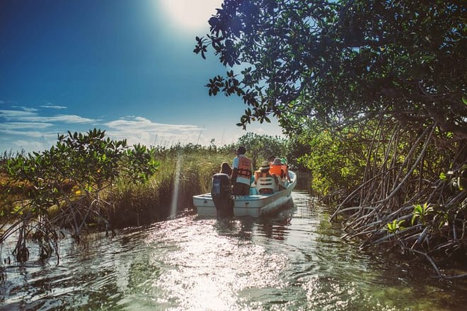 Muyil Archaeological Site & Sian Ka'an Guided Tour from Tulum 8