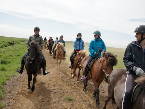 04D - Riding and Gullfoss, Geysir & Þingvellir, photo 5
