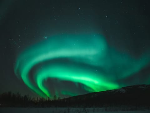 From Hofn - Aurora Hunting & Photography (Private Tour) 