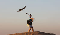 wildlife desert safari