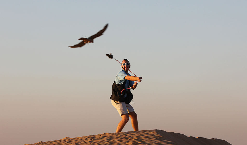 wildlife desert safari