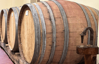 Boutique Winery Visit & Wine Tasting near Arezzo 9