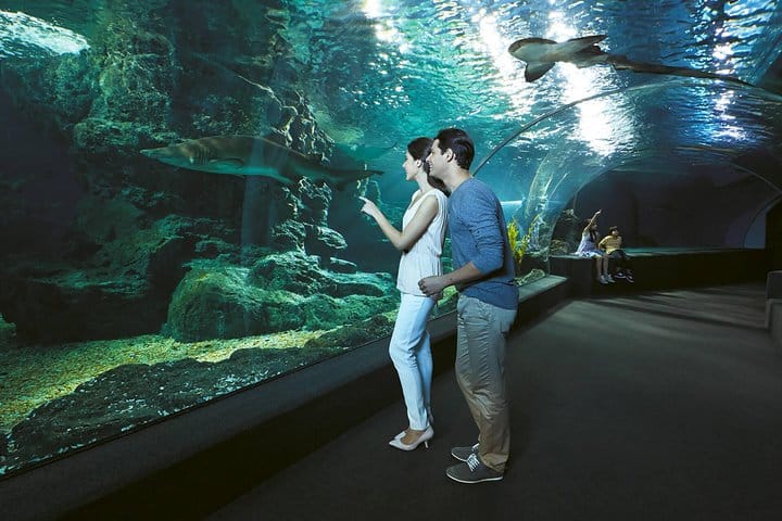 SEA LIFE & Madame Tussauds: Ultimate Bangkok Combo Ticket 5