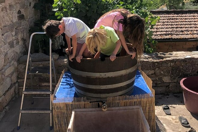 Tuscan Grape Stomping and Wine Tasting Adventure in Chianti - Photo 1