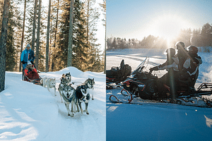 Thrilling day with Siberian Husky and snowmobile safari (Small group)