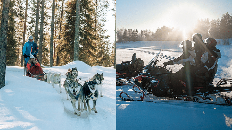Husky safari, Husky ride, tour, snowmobile, Pure Lapland, Rovaniemi Lapland