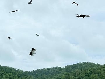 Shared Langkawi Island Hopping Tour Including Dayang Bunting Lake