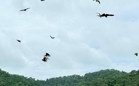 Shared Langkawi Island Hopping Tour Including Dayang Bunting Lake