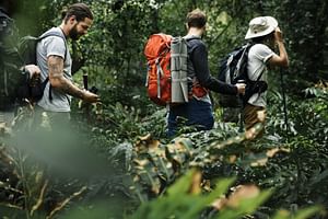 El Yunque Rainforest Private Tour