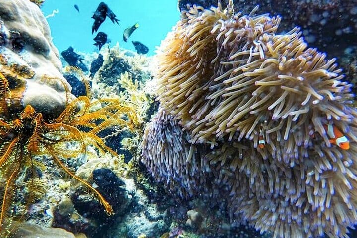 Port Barton Island Hopping from Puerto Princesa City