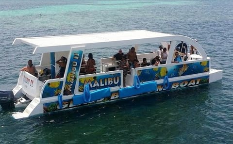 Glass Bottom Boat Tour in Punta Cana, Dominican Republic
