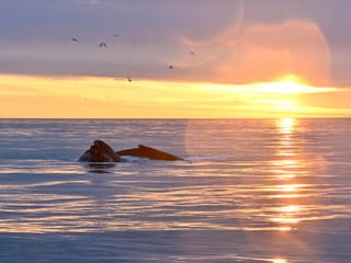 Reykjavík Premium Whales in the Midnight Sun, photo 10