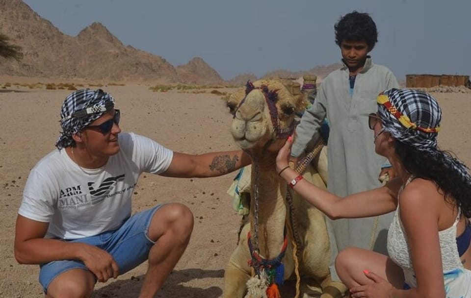 Desert Quad and Camel Safari with BBQ Dinner in Hurghada