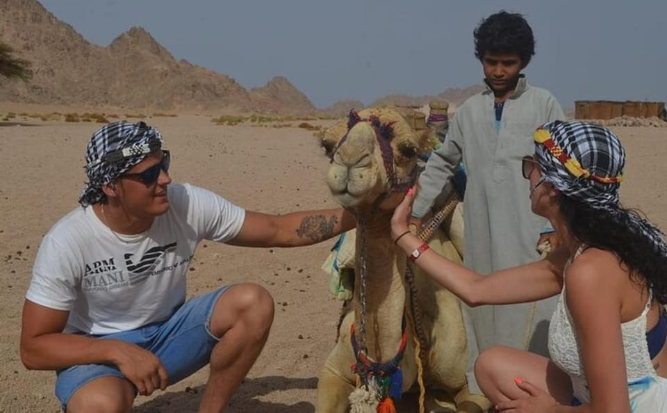 Desert Quad and Camel Safari with BBQ Dinner in Hurghada