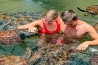 Zanzibar Salaam Cave Swimming and Feeding Sea Turtle in Kizimkazi 4