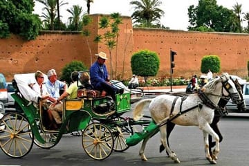 7-Day Cultural and Adventure Tour of Morocco's Highlights