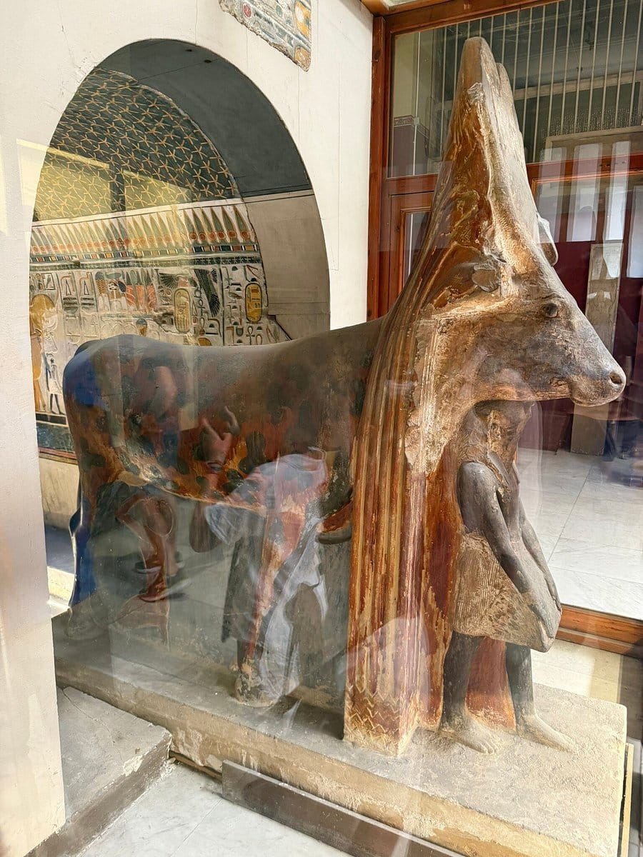 A week in Sharm el sheikh Egypt