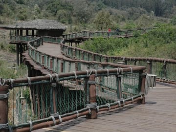 Tour Nairobi Safari Walk