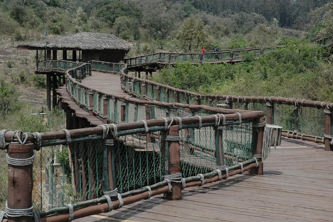 Tour Nairobi Safari Walk