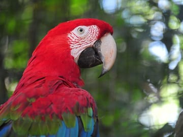Three-Day Nature and Culture Tour of Foz do Iguaçu