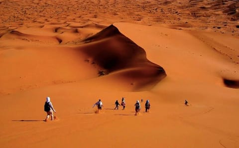Morocco in 8 Days: Private Chefchaouen, Fes, Desert, Marrakech