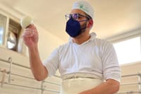 Family-Run Farm Near Ostuni: Mozzarella Experience with Tasting 2