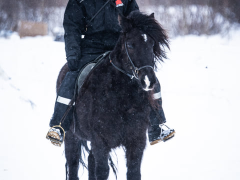 02D - Midwinter Warmth, photo 3