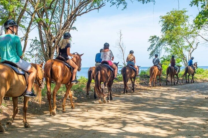 ATV and Horse Back Riding Adventure with Pick Up from Montego Bay