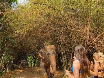 Prek Toal Birds Sanctuary & floating Village Private Tours from Siem Reap