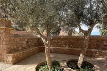St. Catherine's Monastery and Dahab City Tour from Sharm El Sheikh