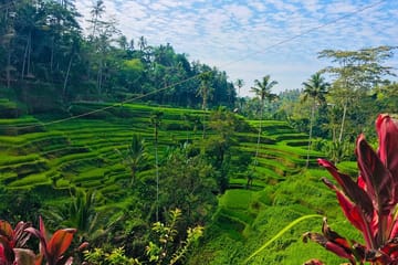 Balinese Culture Tour with Tukad Cepung Waterfall Visit