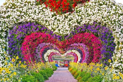 Dubai Miracle Garden & Global Village visit with Private Transfers