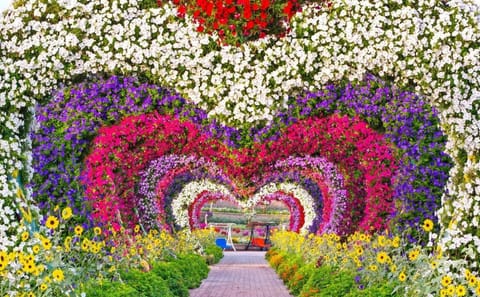 Visit Dubai Miracle Garden and Global Village with Transfers